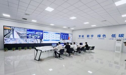 一座工廠的突圍之路 大連電瓷副董事長兼總經(jīng)理應瑩庭與百年絕緣子企業(yè)的轉(zhuǎn)型智慧