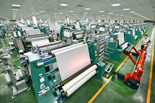 畝均論英雄 增聚開發區與高橋街道高質量發展動能的社會經濟咨詢服務路徑探索