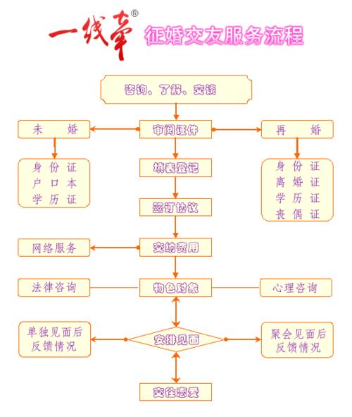 如何制作婚介網站大全 從策劃到優化的完整指南